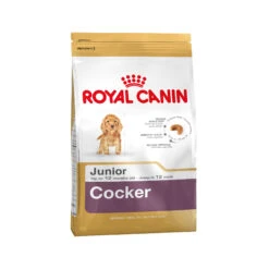 Royal Canin Cocker Puppy - Hondenvoer 21 Royal Canin Cocker Puppy - Hondenvoer -Hondenbenodigdheden 139660b7d4c3f7b3e669646bc66d96e0e43befc75073da92ec7f60325929141e 3 5