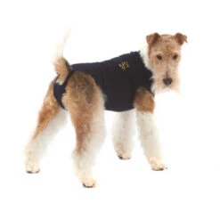 Medical Pet Shirt Hond 26 Medical Pet Shirt Hond -Hondenbenodigdheden 4824e31aaaa9e8ef29ea0a9e3386e7e1c0120620d686ccc21387ee33c2deeecf 3