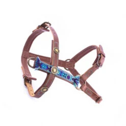 DWAM Hondentuigje Boho Juan 15 DWAM Hondentuigje Boho Juan -Hondenbenodigdheden 4a136a178673ebb6998174c8da4d58d21714564dd3a8bc41f3efa5480e657e5d 3