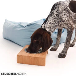 51 Degrees North Voerbak Teak High 19 51 Degrees North Voerbak Teak High -Hondenbenodigdheden 51 degrees north voerbak teak high 211085 1000 none