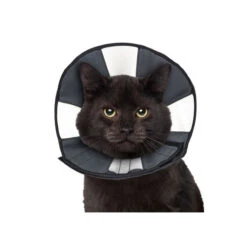 ZenPet Zen Collar -Hondenbenodigdheden 5fa3157a14f70df4dd8f78f7dfb875f7f1cb86091b42f76f641d5ca739d2fc19 3