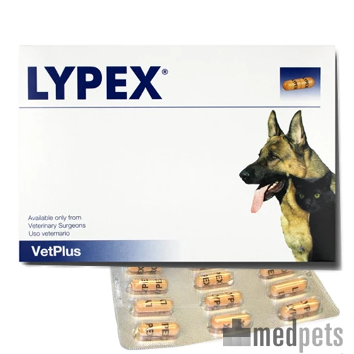 Vetplus Lypex 6 Vetplus Lypex - Afbeelding 4