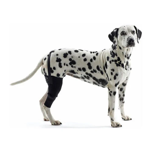 Kruuse Rehab Kniebeschermer 10 Kruuse Rehab Kniebeschermer - Afbeelding 8