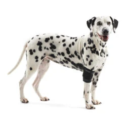 Kruuse Rehab Elleboogbeschermer 7 Kruuse Rehab Elleboogbeschermer -Hondenbenodigdheden 707a1307f57d4b5032cf99e3784b03141ed01b9c9317fa83ee1f29943ae9e06b 4