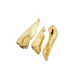 Competition Geitenoren Adult 7 Competition Geitenoren Adult -Hondenbenodigdheden 739152c17d3f9a966001e738d8accc97158ed8f8e8828c83c2652bad537110c2 3 5