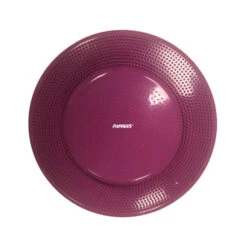 FitPAWS Balance Disc -Hondenbenodigdheden 7b3efd2ad20d8373d3e00c5ff7cf8dae71526214e7810fa11af155f9cca3f413 4