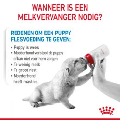 Royal Canin Babydog Milk Puppymelk 23 Royal Canin Babydog Milk Puppymelk -Hondenbenodigdheden 7dL430J4fKjIYUP3Cv5F1x2KiqBZS7 metaUm95YWwtQ2FuaW4tQmFieWRvZy1NaWxrLTIwMC1nXzA0LmpwZw
