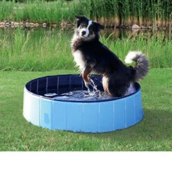 Trixie Dog Pool 27 Trixie Dog Pool -Hondenbenodigdheden 91b6638a52e4062f6a74a21da5a2096129c5794d9e0c850285a6a15e5083b175 4
