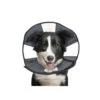 ZenPet Zen Collar 2 ZenPet Zen Collar -Hondenbenodigdheden 942fa87c5a3e5a9142fd70fe4e58f85ca3f82254cbec78427a0c6c123ea8dabb 5