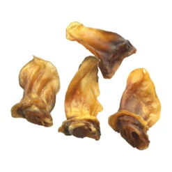 Competition Lamsoren 7 Competition Lamsoren -Hondenbenodigdheden 9e00fa3262543de300fb81223c22f84bbde6d76426afdde6722ca519dbcedfb8 3 5