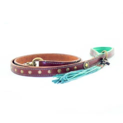 DWAM Hondenriem Joe -Hondenbenodigdheden 9ec78b514dccc4aec2e99459c57db56cabc946692124c8e3b5bcfe4488d46cfe 3