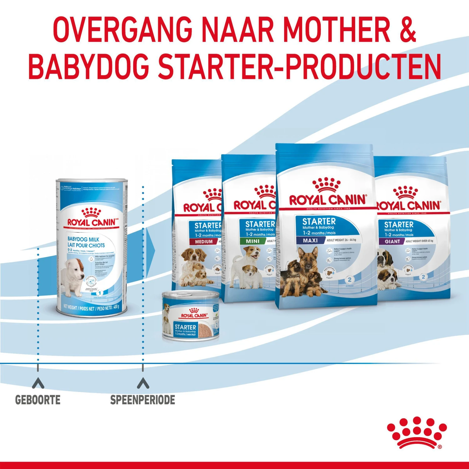Royal Canin Babydog Milk Puppymelk 11 Royal Canin Babydog Milk Puppymelk - Afbeelding 9