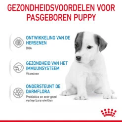 Royal Canin Babydog Milk Puppymelk 30 Royal Canin Babydog Milk Puppymelk -Hondenbenodigdheden Nx6v5MASt0yaA0zuUyacuML5nqhcok metaUm95YWwtQ2FuaW4tQmFieWRvZy1NaWxrLTJrZ18wNC5qcGc