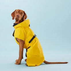PAIKKA Visibility Raincoat Lite Yellow -Hondenbenodigdheden PClMHEr7OU9sOGs5uS5yRaglBqAzmp metaUGFpa2thLVZpc2liaWxpdHktUmFpbmNvYXQtTGl0ZS1ZZWxsb3czLmpwZw