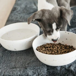 Kentucky Bamboe Voer- Drinkbak Terrazzo -Hondenbenodigdheden PJl3tuSqC551O9x0ePXxThB2wwTthS metaS2VudHVja3ktQmFtYm9lLUJhay1UZXJyYXp6by1XaXQuanBn