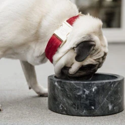 Kentucky Marmeren Voer- Drinkbak -Hondenbenodigdheden S7JmwvoV5feIMUAKXd5f33l5NglFR6 metaS2VudHVja3ktTWFybWVyZW4tQmFrLVp3YXJ0LTIuanBn