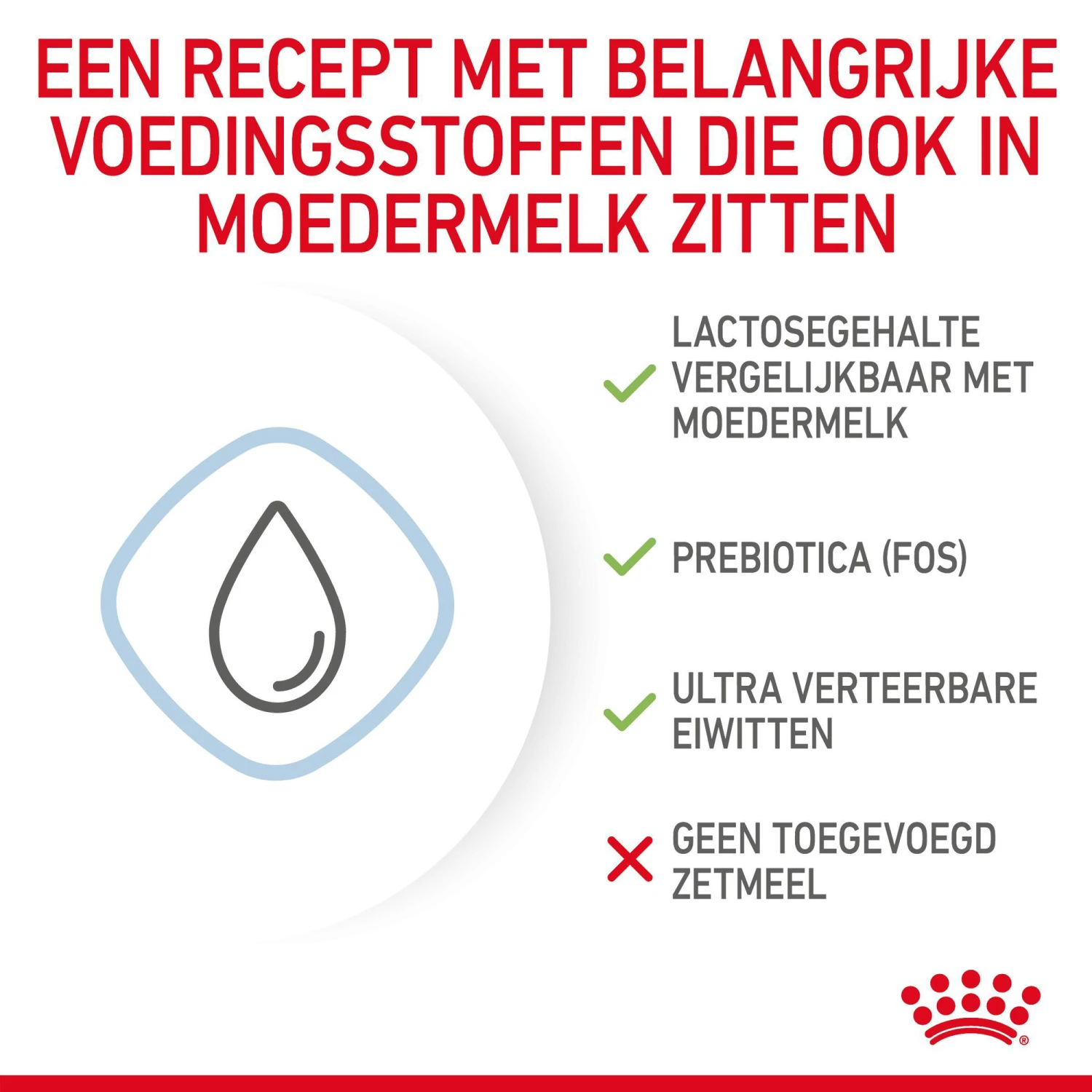 Royal Canin Babydog Milk Puppymelk 9 Royal Canin Babydog Milk Puppymelk - Afbeelding 7