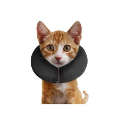 ZenPet Pro Collar -Hondenbenodigdheden acf3a53e750af16e02f3b6c4def4cf122f33c26a00c663a14593321940f579ed 3