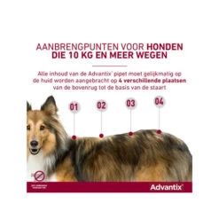 Advantix 37 Advantix -Hondenbenodigdheden advantix 174199 0500 none