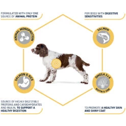 Affinity Advance Sensitive Medium-Maxi Zalm En Rijst - Hond 13 Affinity Advance Sensitive Medium-Maxi Zalm En Rijst - Hond -Hondenbenodigdheden affinity advance sensitive medium maxi zalm en rijst hond 177952 1500 none