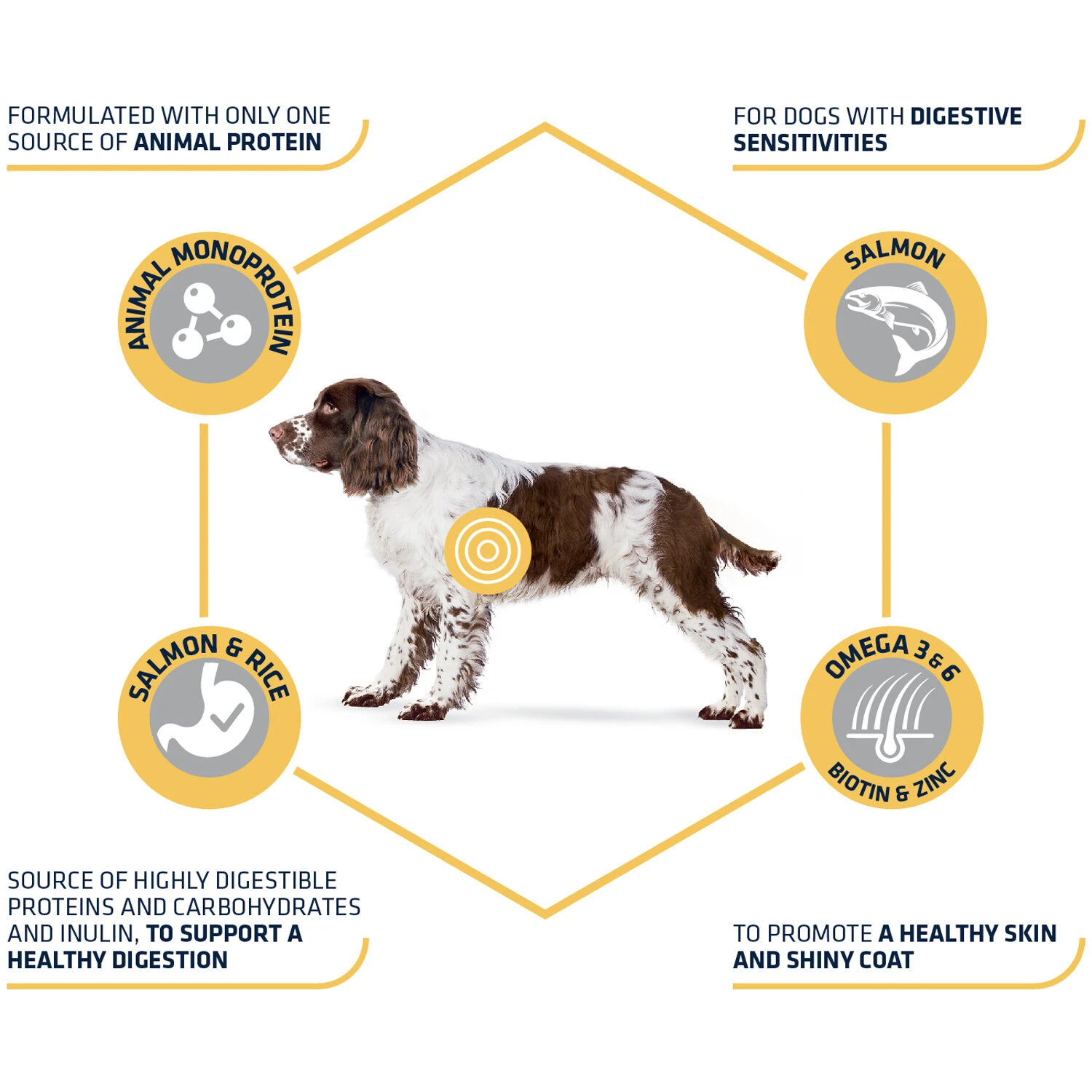 Affinity Advance Sensitive Medium-Maxi Zalm En Rijst - Hond 6 Affinity Advance Sensitive Medium-Maxi Zalm En Rijst - Hond - Afbeelding 4