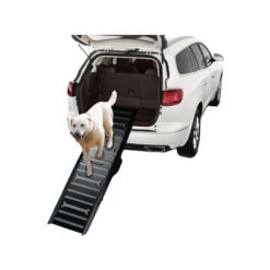 All For Paws AFP Travel Dog - Easy Carry 4 Fold Pet Ramp 15 All For Paws AFP Travel Dog - Easy Carry 4 Fold Pet Ramp -Hondenbenodigdheden afp travel dog easy carry 4 fold pet ramp 213542 0500 none