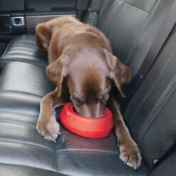 Kurgo Splash Free Wander Water Bowl -Hondenbenodigdheden altranet splash free wander water bowl 222778 0500 none