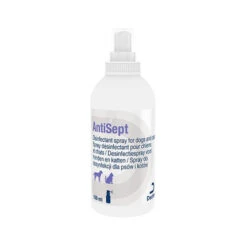 DECHRA AntiSept Desinfectiespray 7 DECHRA AntiSept Desinfectiespray -Hondenbenodigdheden antisept desinfectiespray 134446 0500 none