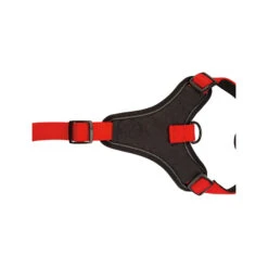 Beeztees Parinca Premium Y-tuig 36 Beeztees Parinca Premium Y-tuig -Hondenbenodigdheden beeztees parinca premium y tuig 199589 2000 none