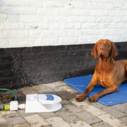 Beeztees Splashy Waterfontein -Hondenbenodigdheden beeztees splashy waterfontein 163285 2000 none