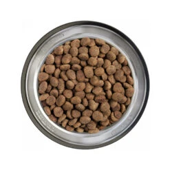 Belcando Finest Senior Graanvrij 9 Belcando Finest Senior Graanvrij -Hondenbenodigdheden belcando finest senior graanvrij 217783 1000 none