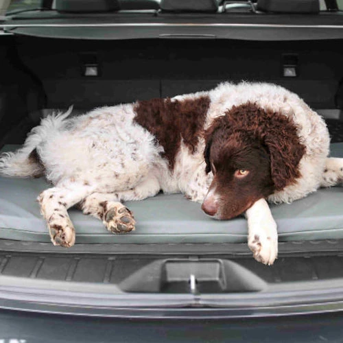 Bia Original Matras Grijs 9 Bia Original Matras Grijs - Afbeelding 7