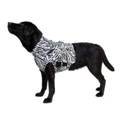 Medical Pet Top Shirt - Zebraprint -Hondenbenodigdheden c52cb39998ecd943f36e2bb42563826d70793b75d4e3e9908f75a9ac949a541b 3