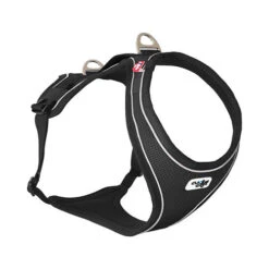 Curli Belka Comfort Harness 37 Curli Belka Comfort Harness -Hondenbenodigdheden c8ef62c0b4995c0805a8a6a6f4a151b8e1f867c18464594b9e6908f8eb08755a 4
