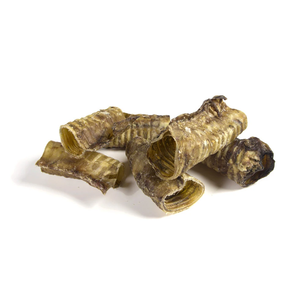 Competition Runderluchtpijp 3 Competition Runderluchtpijp