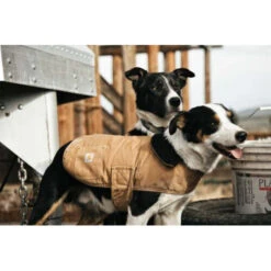 Carhartt Dog Chore Coat 17 Carhartt Dog Chore Coat -Hondenbenodigdheden carhartt dog chore coat 186748 0500 none