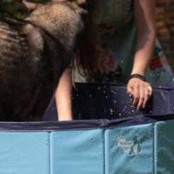 CoolPets Zwembad 16 CoolPets Zwembad -Hondenbenodigdheden coolpets zwembad 198134 2000 none