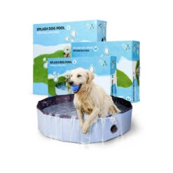 CoolPets Zwembad 14 CoolPets Zwembad -Hondenbenodigdheden coolpets zwembad 198137 1000 none