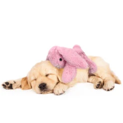 Cozy Dog Bunny 25 Cozy Dog Bunny -Hondenbenodigdheden cozy dog bunny 197267 1000 none