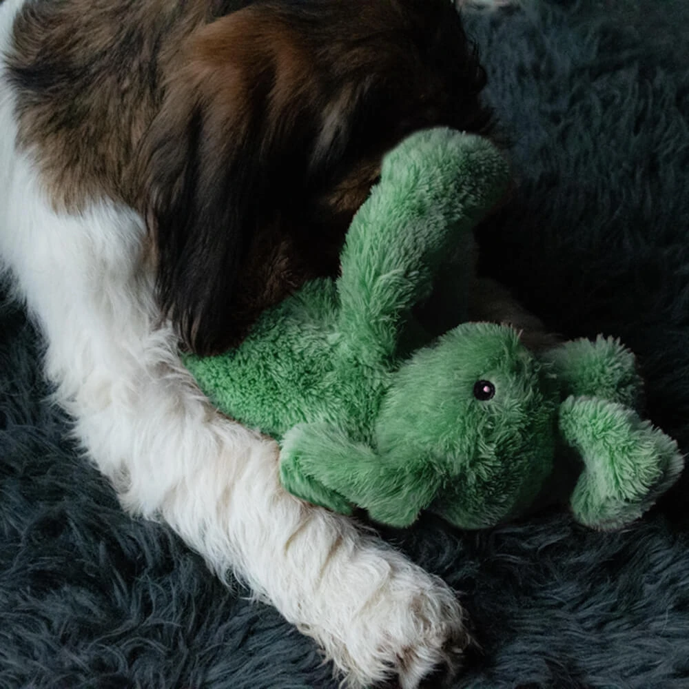 Cozy Dog Bunny 12 Cozy Dog Bunny - Afbeelding 10