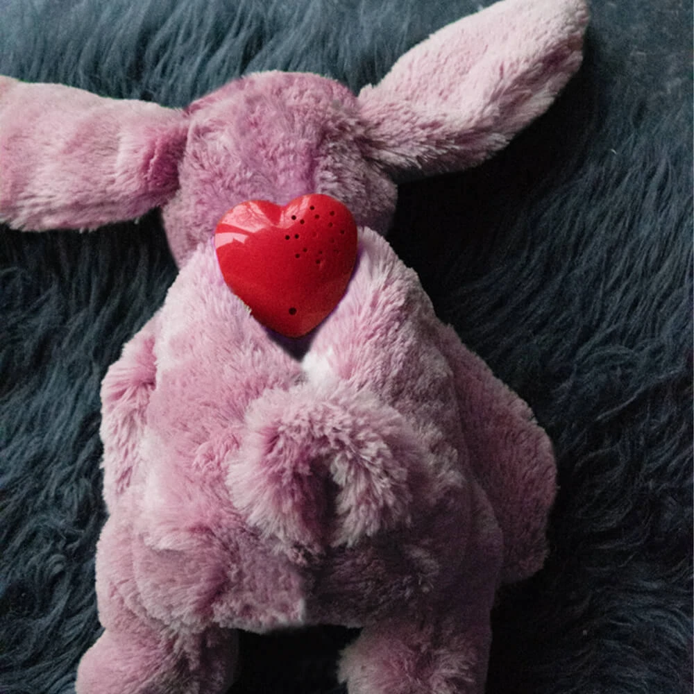 Cozy Dog Bunny 15 Cozy Dog Bunny - Afbeelding 13