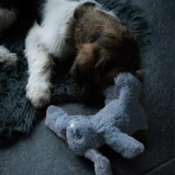 Cozy Dog Bunny 32 Cozy Dog Bunny -Hondenbenodigdheden cozy dog bunny 197291 1000 none