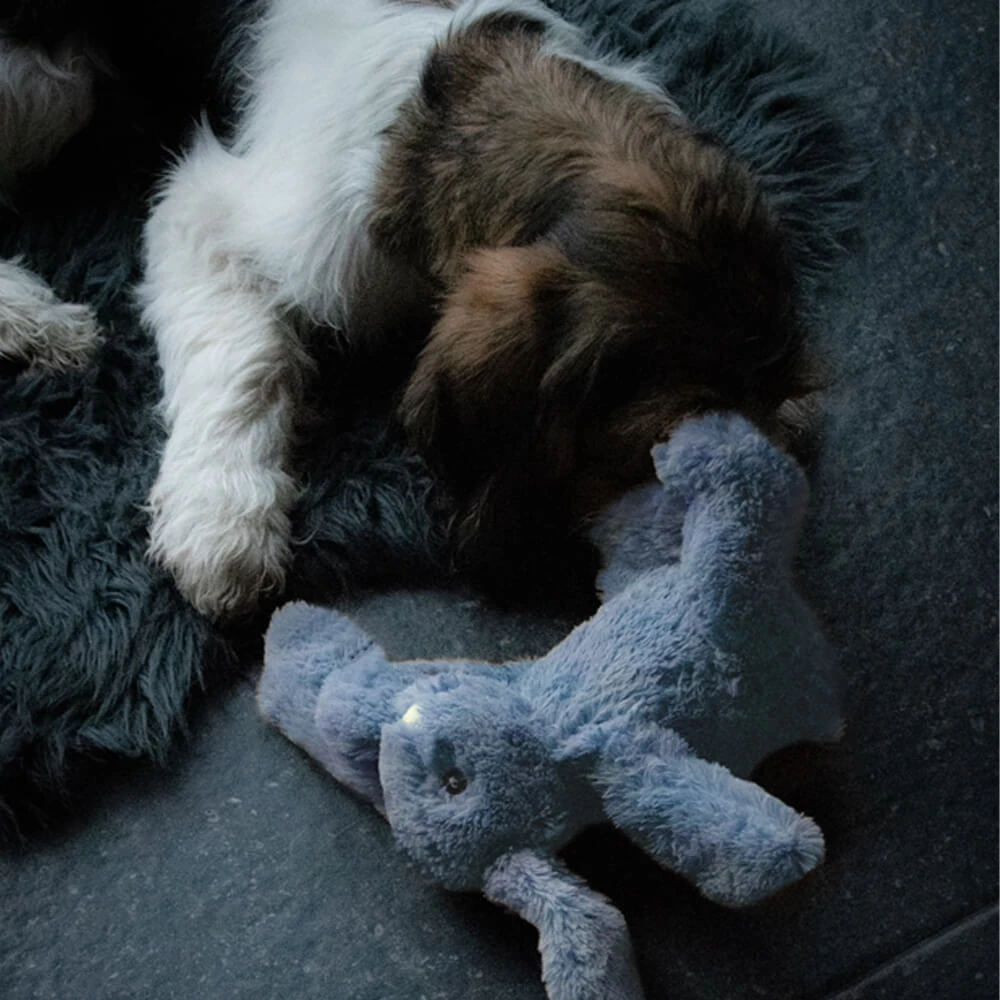 Cozy Dog Bunny 17 Cozy Dog Bunny - Afbeelding 15