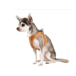 Curli Harnas Vegan Appelleer -Hondenbenodigdheden curli harnas vegan appelleer 216633 0500 none