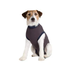 Jacketz Medical Body Suit Hond -Hondenbenodigdheden d6789fc90b3366c454de4215a5eb491a651e63f0f4cbcae017902b352c58256b 3