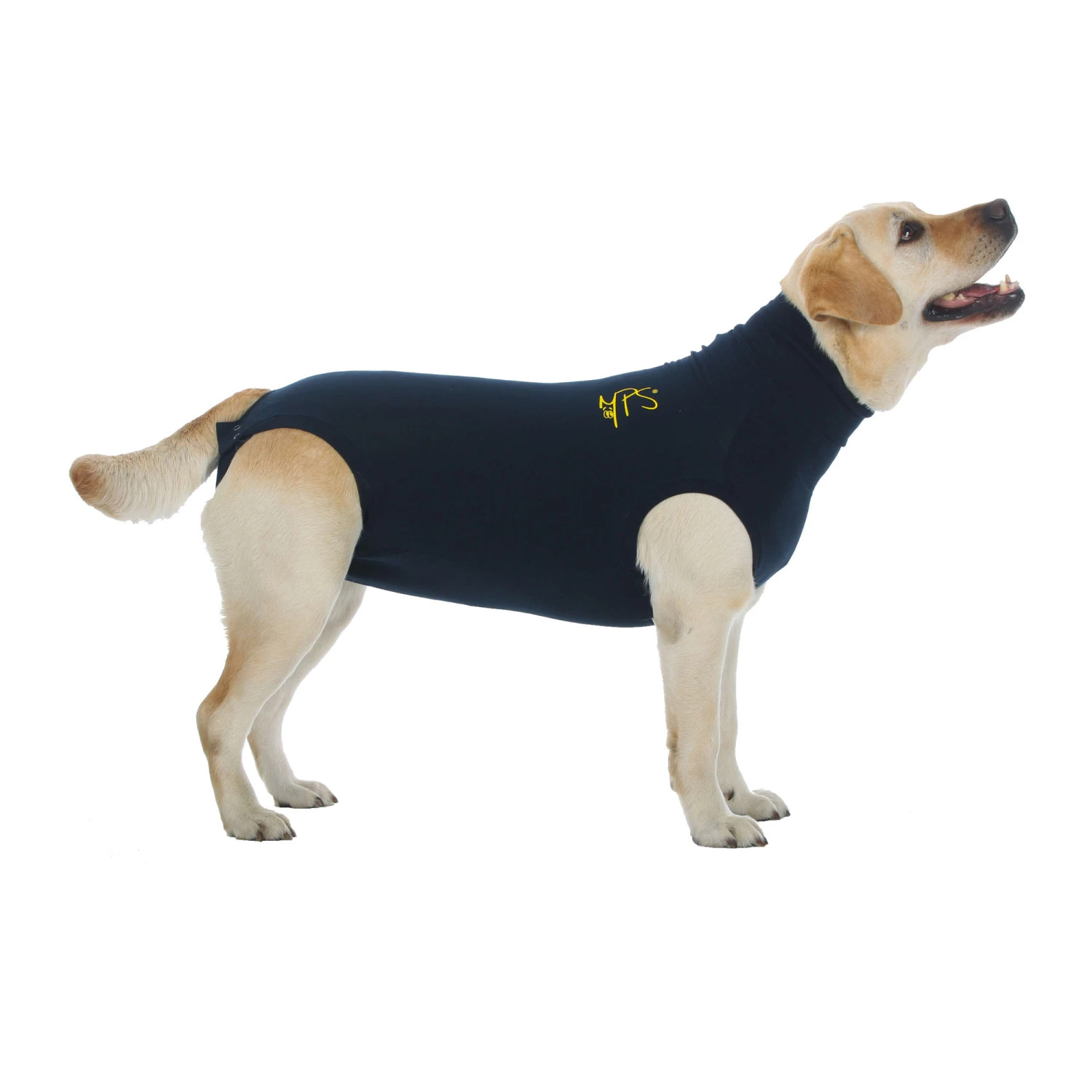Medical Pet Shirt Hond 5 Medical Pet Shirt Hond - Afbeelding 3