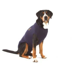Medical Pet Shirt Hond 28 Medical Pet Shirt Hond -Hondenbenodigdheden dc135c94db153807fea16f7c752e25c7c98d5ab9f462742e2b5a192c8af8d6bc 3