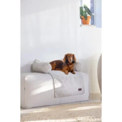 Designed By Lotte Bankkussen Ribbed 15 Designed By Lotte Bankkussen Ribbed -Hondenbenodigdheden designed by lotte bankkussen ribbed 222738 2000 none