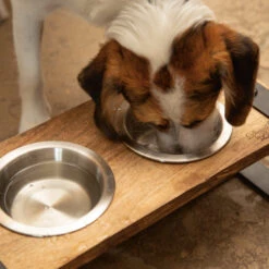 Designed By Lotte Houten Dinerset Karinto 17 Designed By Lotte Houten Dinerset Karinto -Hondenbenodigdheden designed by lotte houten dinerset karinto 164311 2000 none