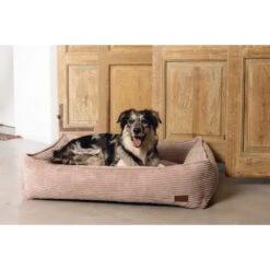 Designed By Lotte Ligmand Ribbed 30 Designed By Lotte Ligmand Ribbed -Hondenbenodigdheden designed by lotte ribbed hondenmand roze 190386 2000 none